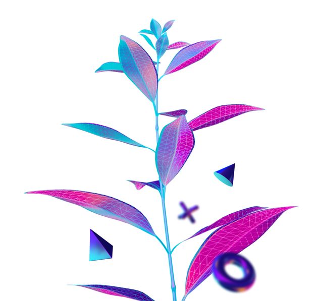 Plant