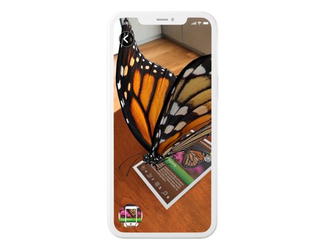 Super Insects Butterfly