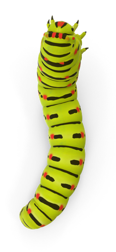Caterpillar