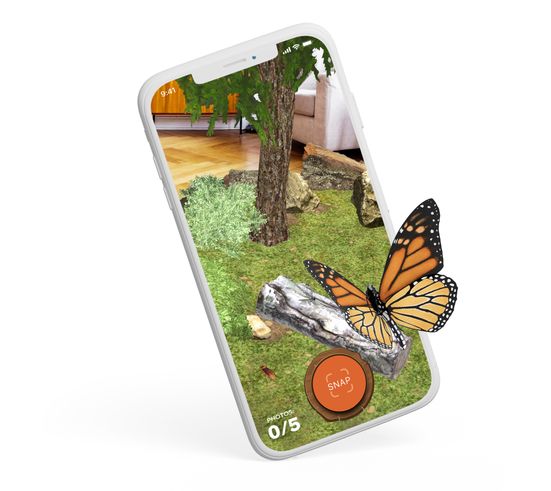 Super Insects Butterfly Popout