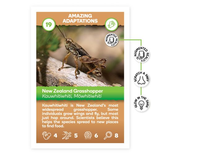 Super Insects Card CTA
