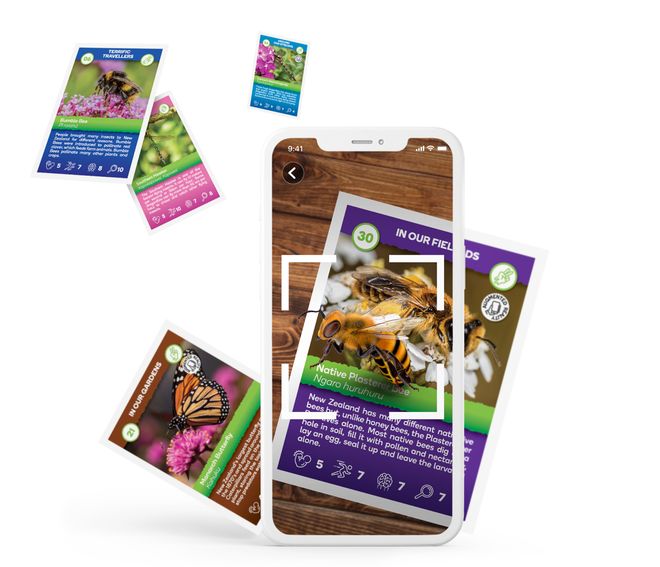 Super Insects Card Popout